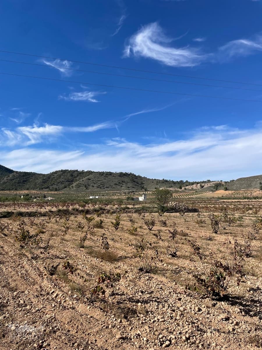 5 camera da letto Finca/Casa di Campagna in vendita in Pinoso con piscina - 499.995 € (Rif: 9516434)