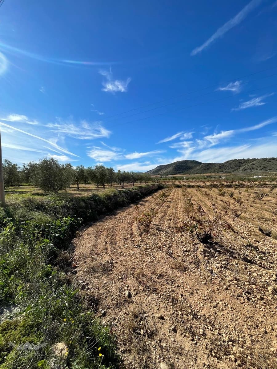 5 camera da letto Finca/Casa di Campagna in vendita in Pinoso con piscina - 499.995 € (Rif: 9516434)