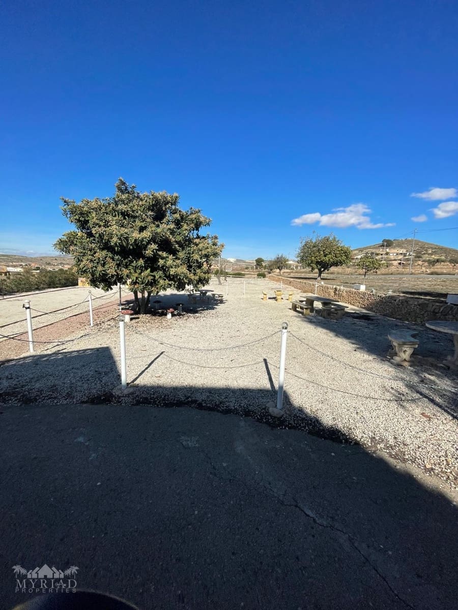 6 soveværelse Finca/Landehus til salg i Pinoso med swimmingpool garage - € 395.000 (Ref: 9516437)