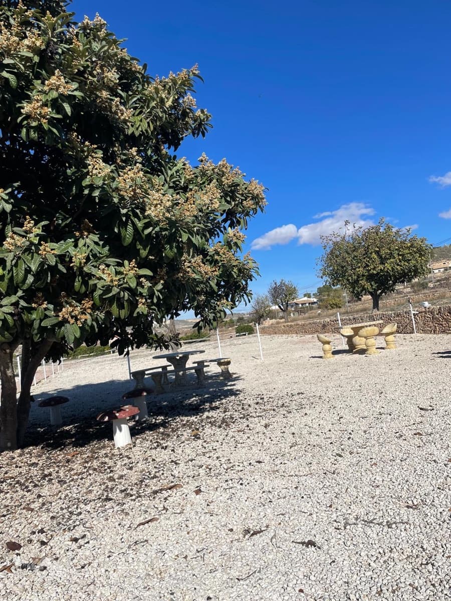 6 soveværelse Finca/Landehus til salg i Pinoso med swimmingpool garage - € 395.000 (Ref: 9516437)