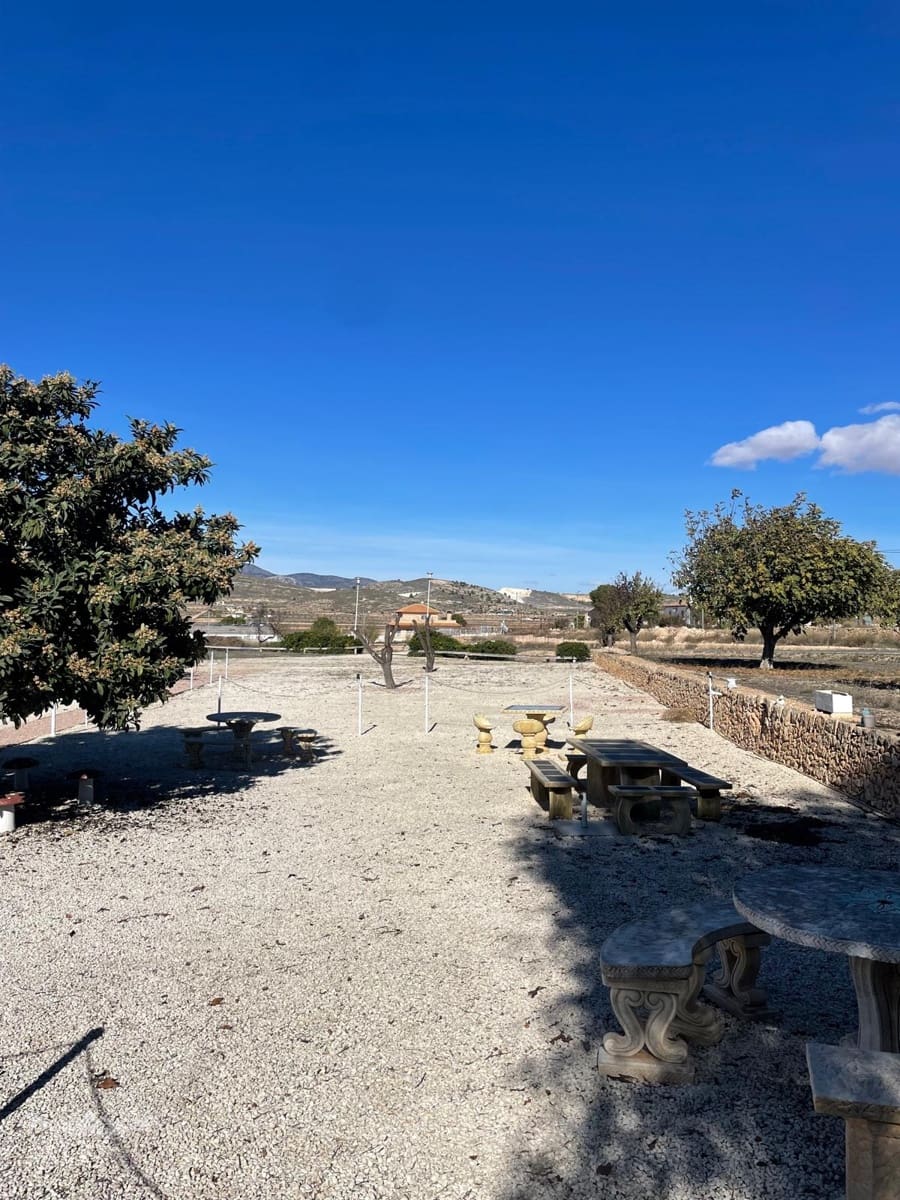 6 soveværelse Finca/Landehus til salg i Pinoso med swimmingpool garage - € 395.000 (Ref: 9516437)