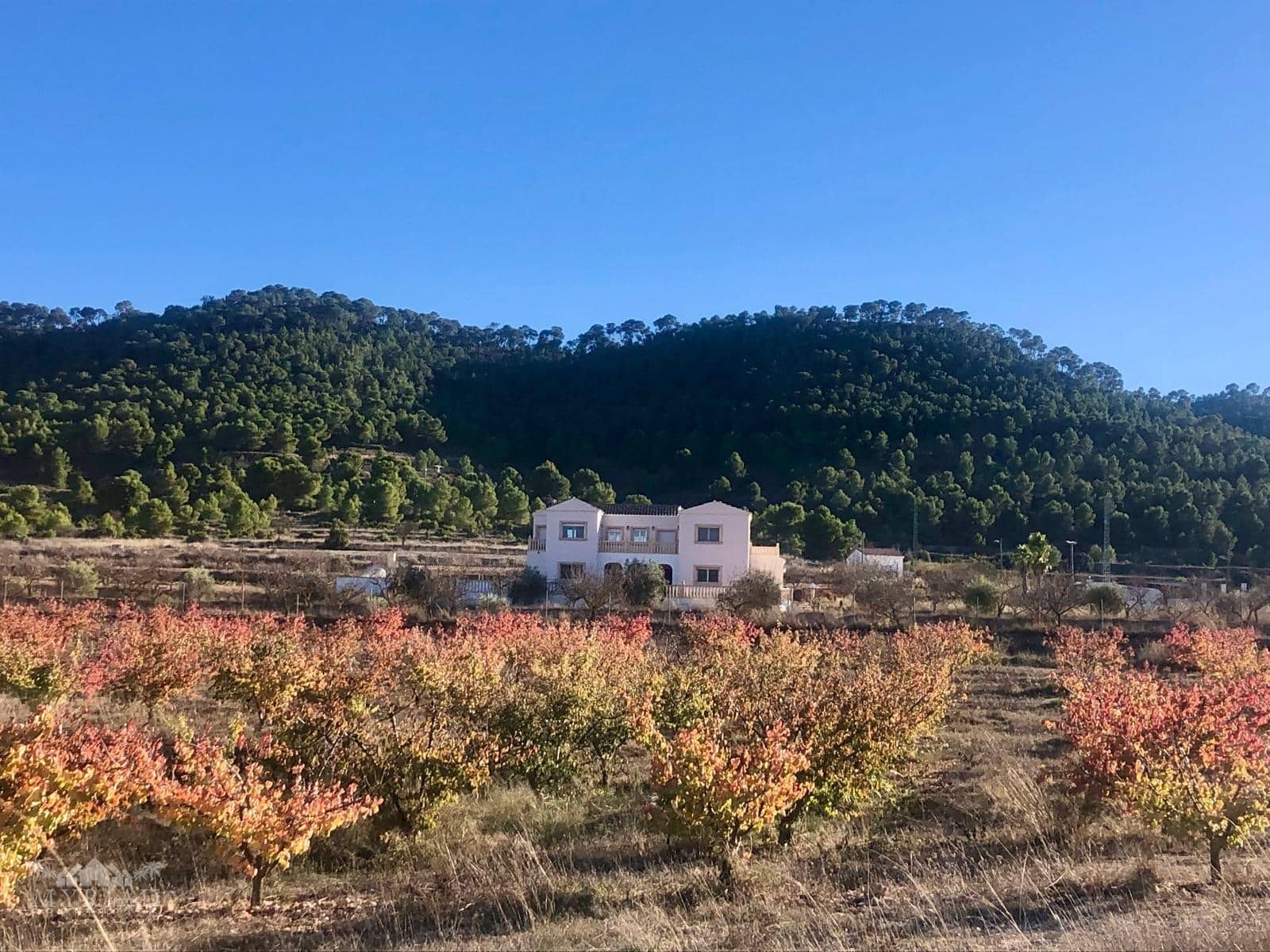 6 bedroom Villa for sale in Pinoso with pool - € 649,995 (Ref: 9516440)