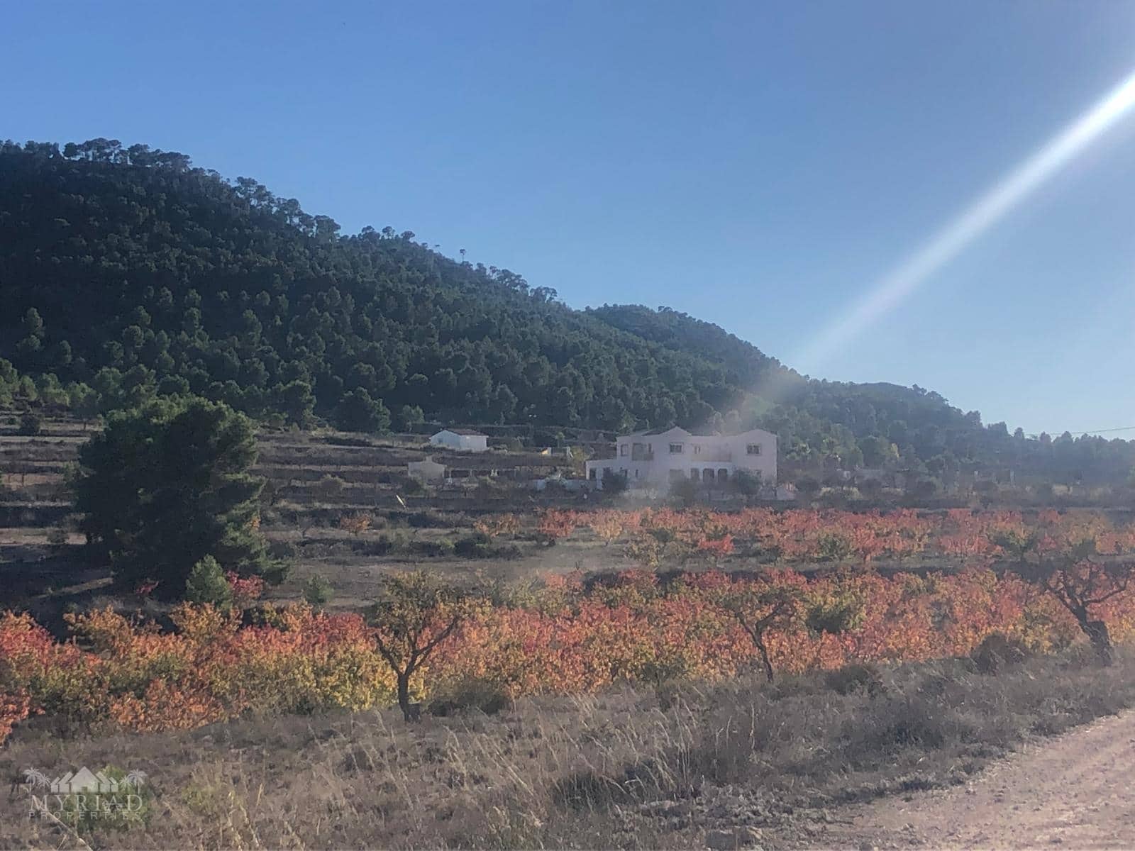 6 bedroom Villa for sale in Pinoso with pool - € 649,995 (Ref: 9516440)