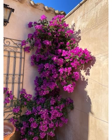 5 soverom Finca/Herregård til salgs i Pinoso med svømmebasseng garasje - € 379 995 (Ref: 9516444)