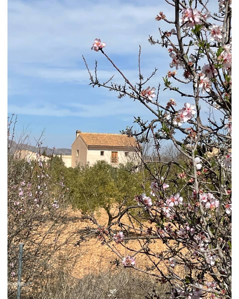 5 soverom Finca/Herregård til salgs i Pinoso med svømmebasseng garasje - € 379 995 (Ref: 9516444)