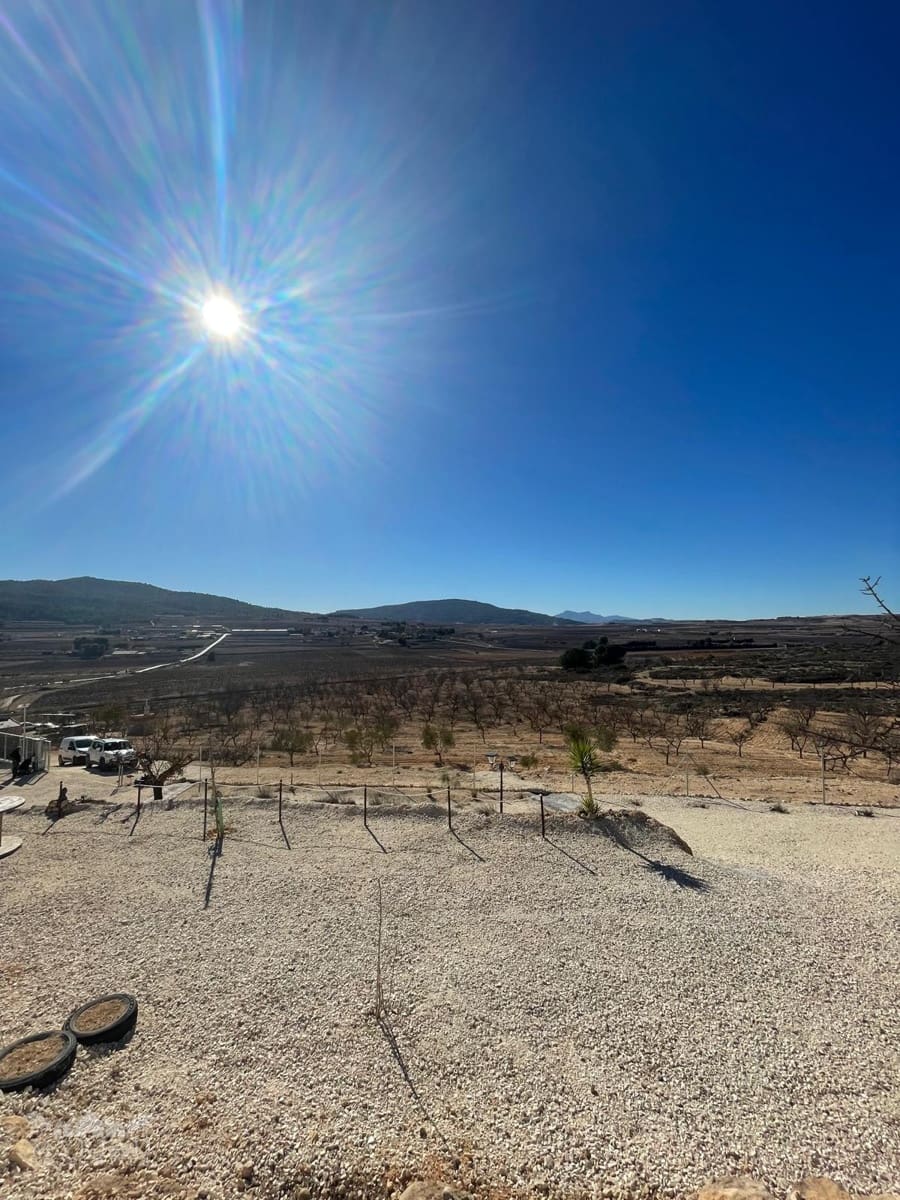 Terre non Aménagée à vendre à Culebron - 50 000 € (Ref: 9535587)