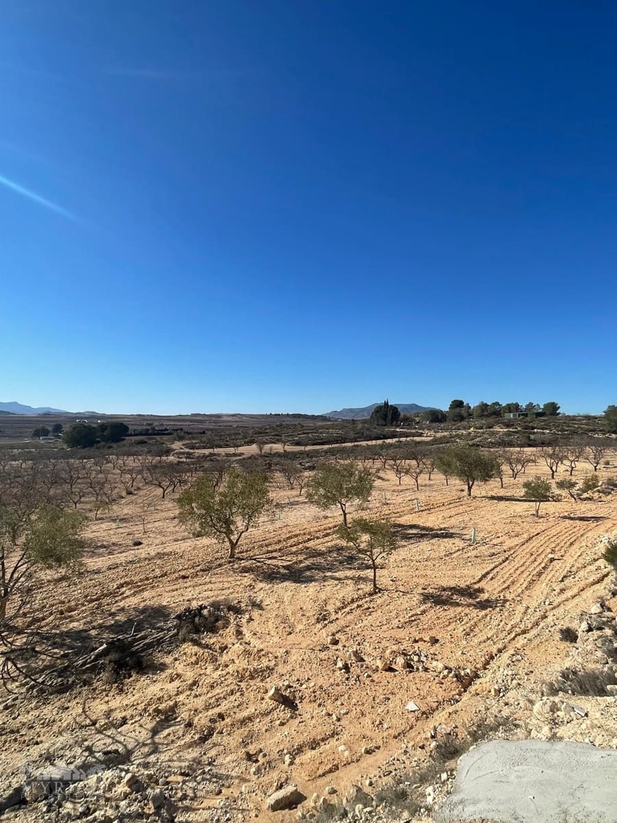 Terre non Aménagée à vendre à Culebron - 50 000 € (Ref: 9535587)