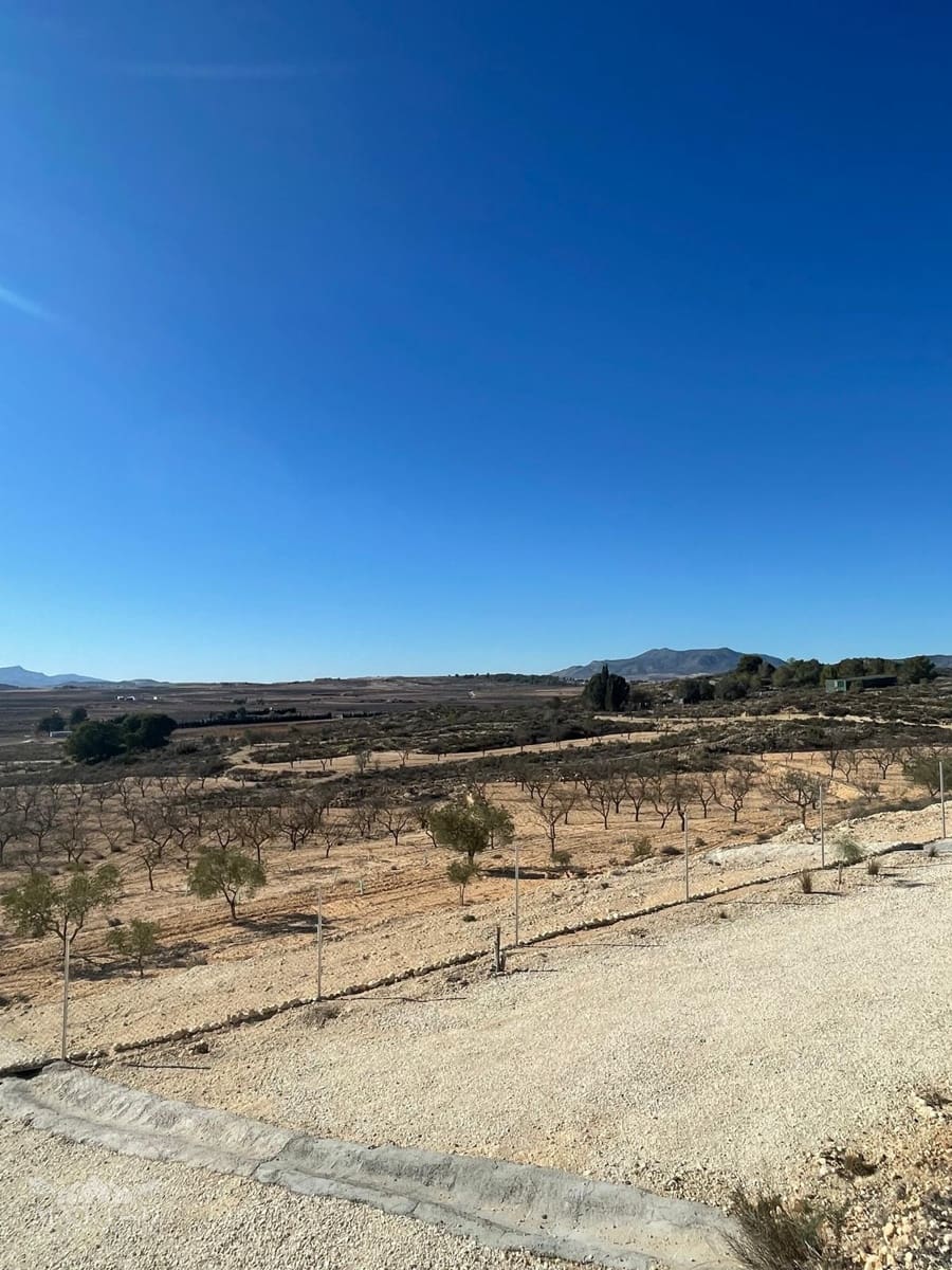 Terre non Aménagée à vendre à Culebron - 50 000 € (Ref: 9535587)