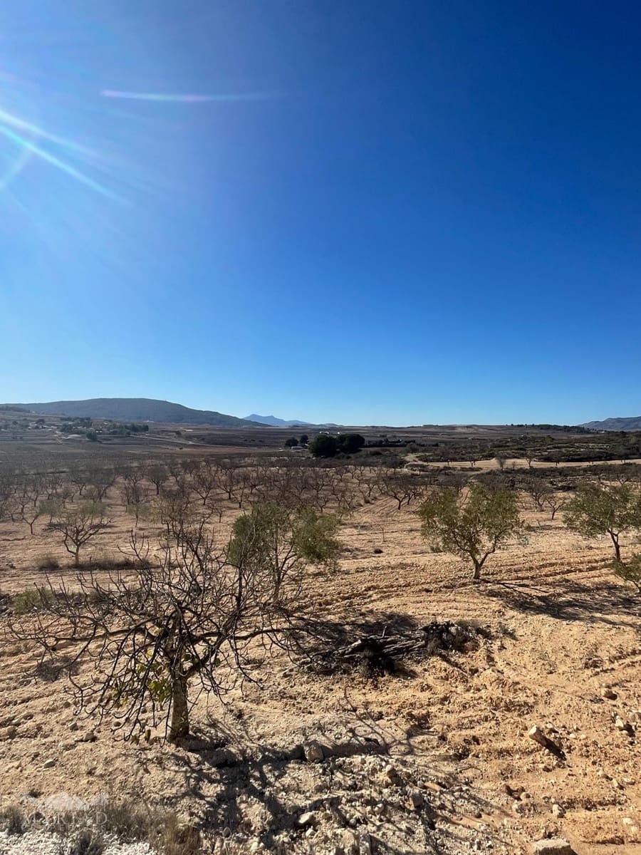 Terre non Aménagée à vendre à Culebron - 50 000 € (Ref: 9535587)