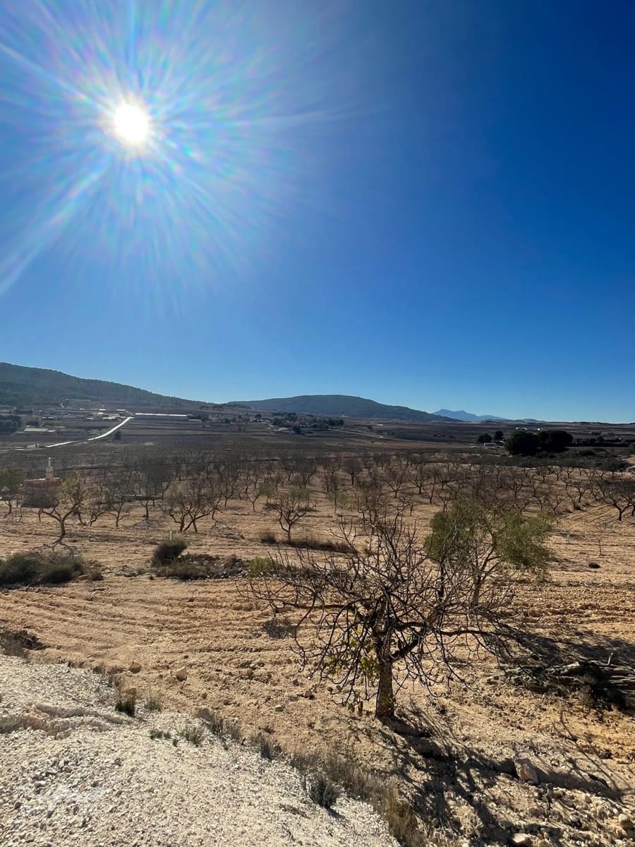 Terre non Aménagée à vendre à Culebron - 50 000 € (Ref: 9535587)