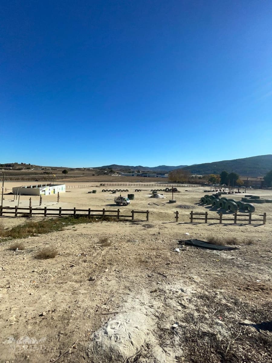 Kommersiell til salgs i Pinoso - € 160 000 (Ref: 9568174)