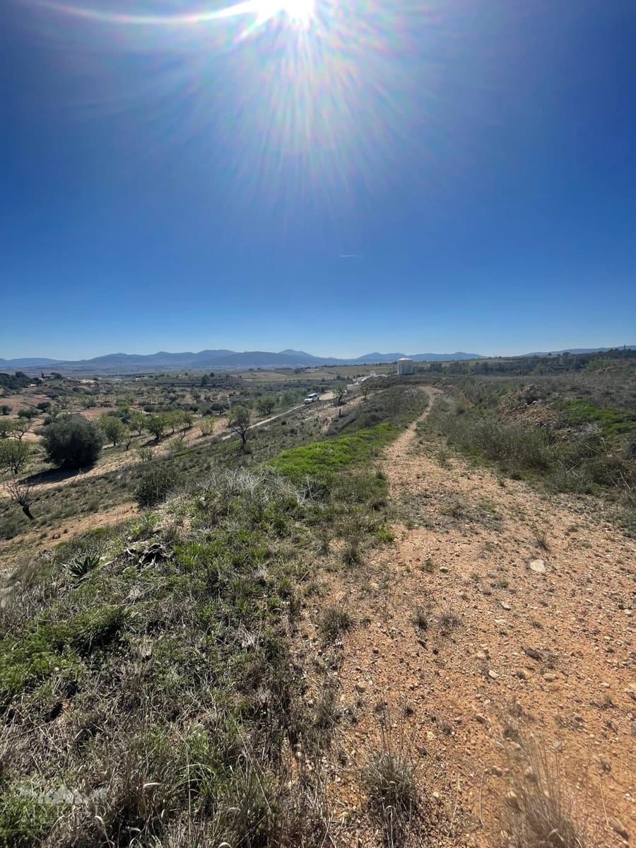 3 soveværelse Hulehus til salg i Pinoso - € 135.995 (Ref: 9686185)