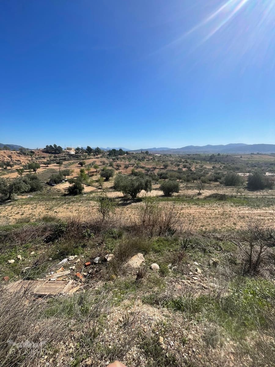 3 soveværelse Hulehus til salg i Pinoso - € 135.995 (Ref: 9686185)