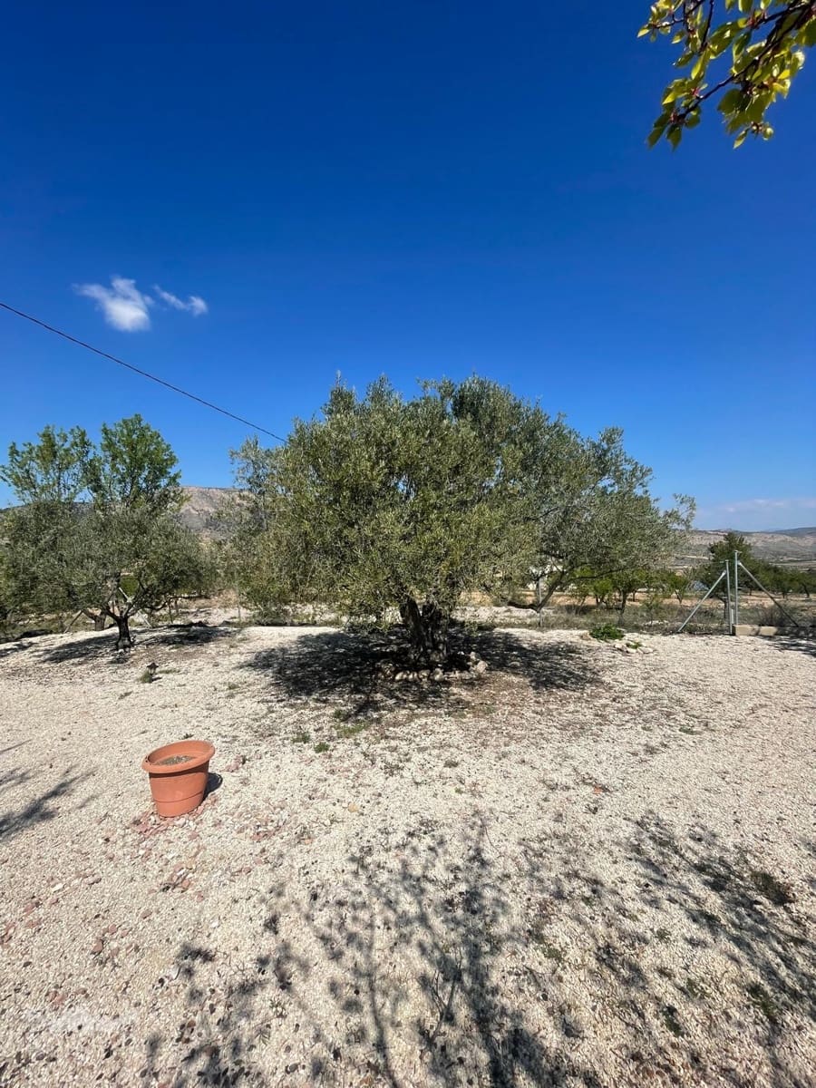 2 slaapkamer Villa te koop in Algayat met garage - € 125.000 (Ref: 9714593)