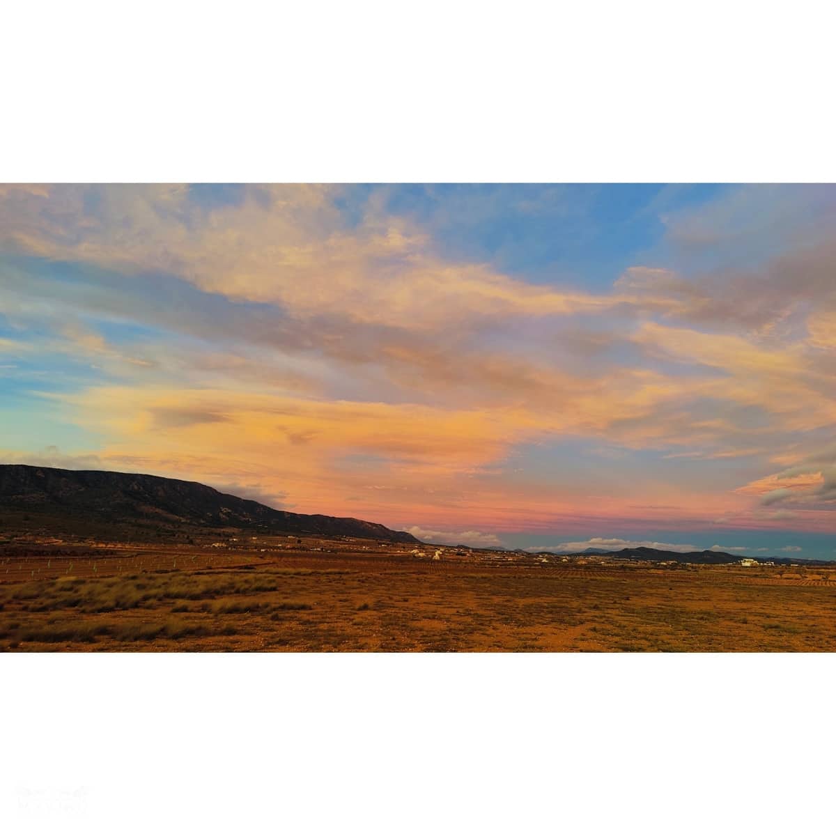 4 bedroom Villa for sale in Pinoso - € 210,000 (Ref: 9794265)