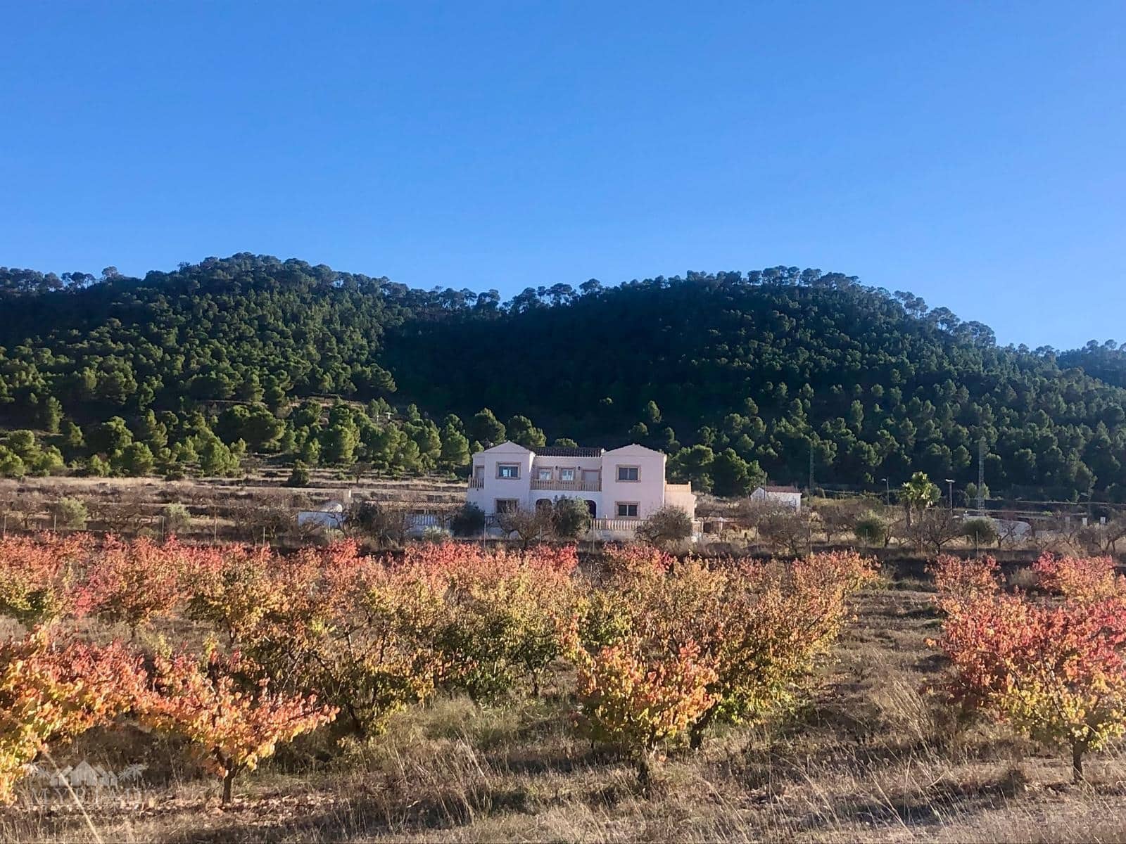 6 sovrum Villa till salu i Encebras med pool - 649 995 € (Ref: 9798918)