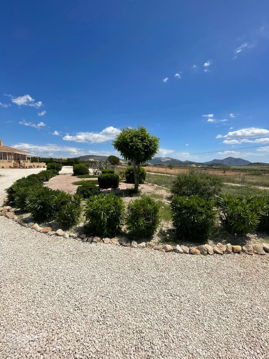 4 bedroom Villa for sale in Pinoso - € 425,000 (Ref: 9833356)
