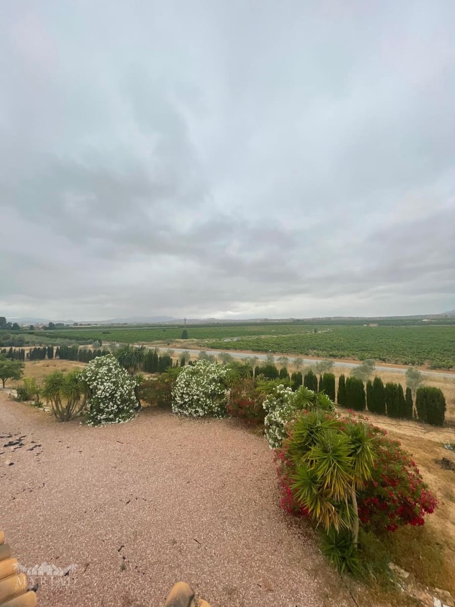 3 soverom Villa til salgs i Pinoso - € 370 000 (Ref: 9928990)