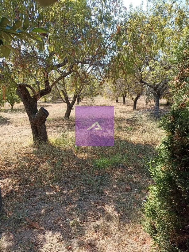 4 slaapkamer Villa te koop in Godelleta met garage - € 265.000 (Ref: 9412434)