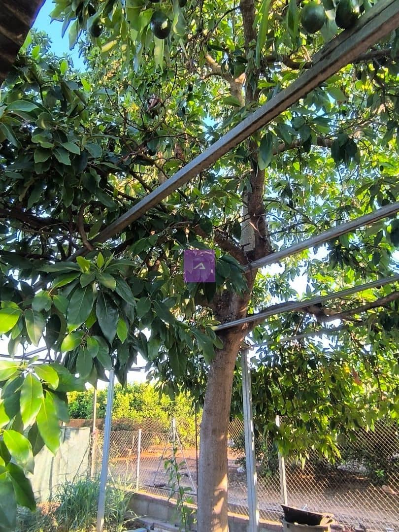 2 Zimmer Finca/Landgut zu verkaufen in Carcaixent mit Pool Garage - 124.000 € (Ref: 9412452)