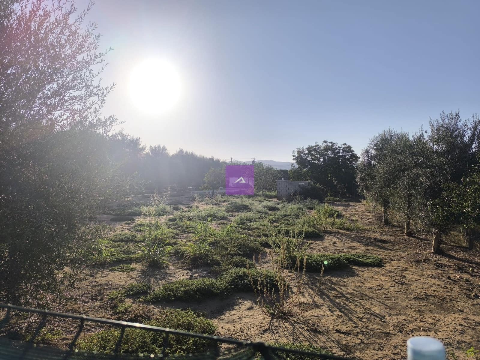 2 Zimmer Finca/Landgut zu verkaufen in Carcaixent mit Pool Garage - 124.000 € (Ref: 9412452)