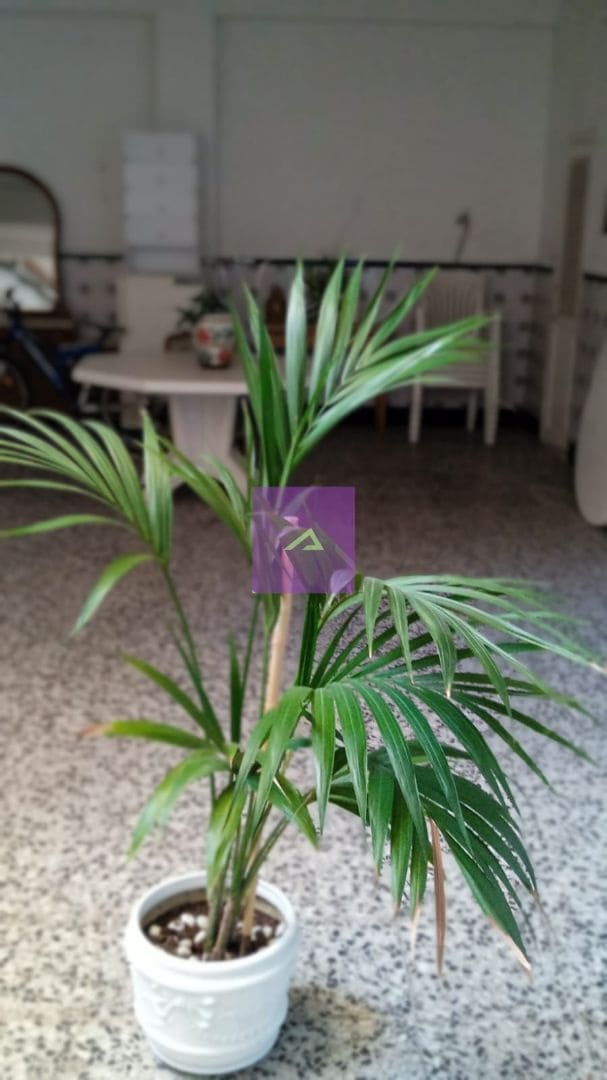 4 soveværelse Villa til salg i Real - € 185.000 (Ref: 9412499)