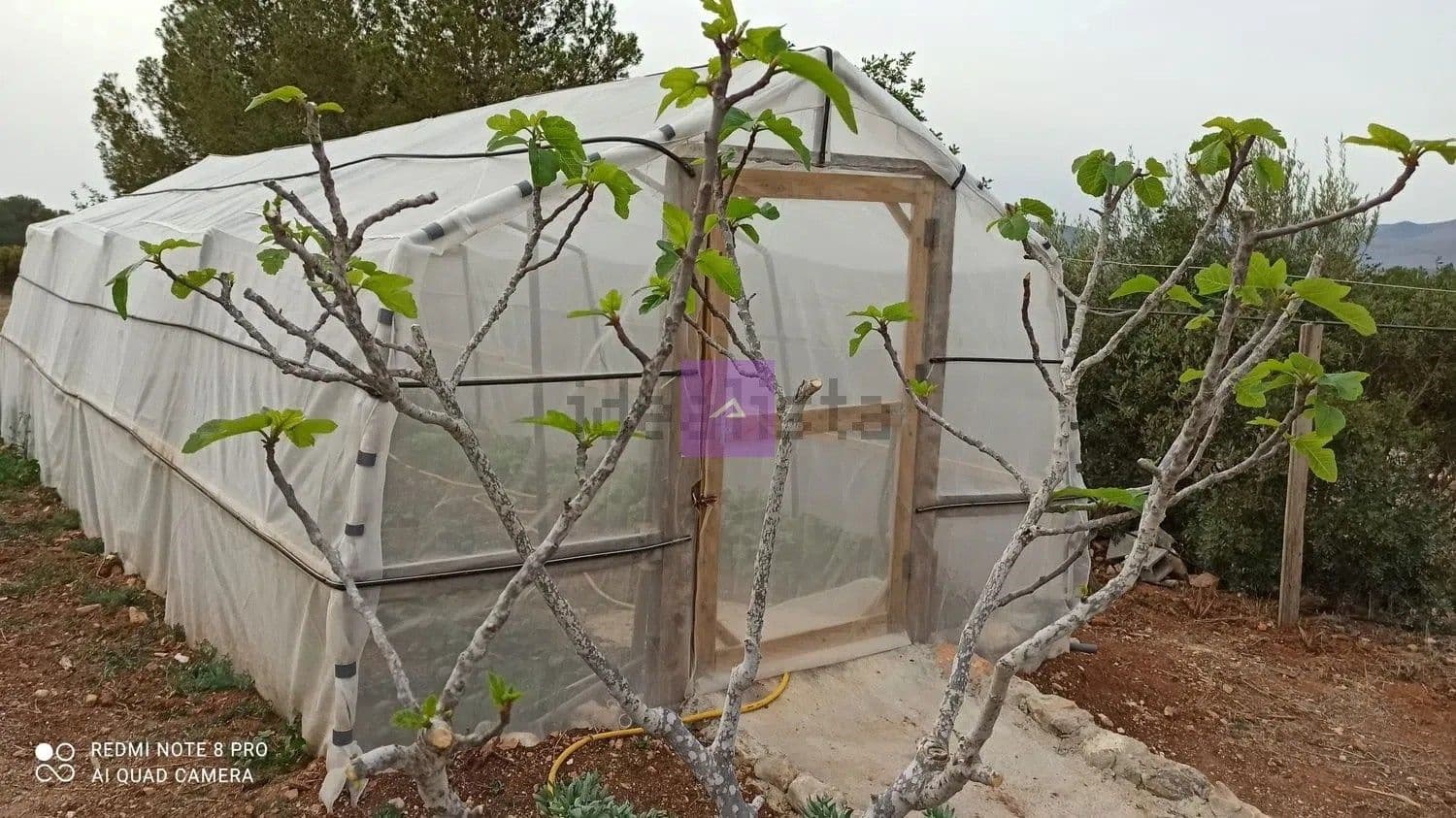 3 bedroom Finca/Country House for sale in Llombai with pool - € 185,000 (Ref: 9412504)