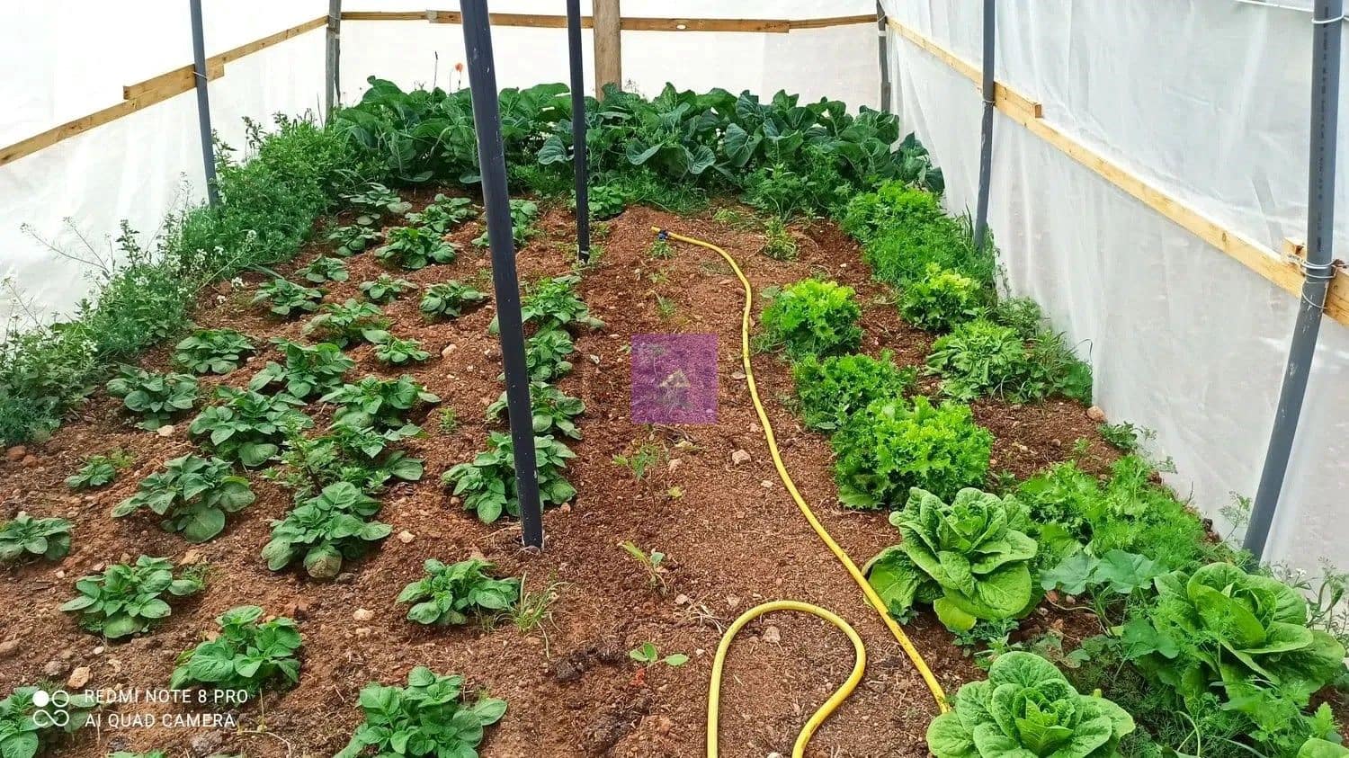 3 bedroom Finca/Country House for sale in Llombai with pool - € 185,000 (Ref: 9412504)