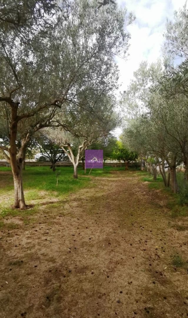 Finca/Country House for sale in Alfara del Patriarca - € 94,000 (Ref: 9415295)