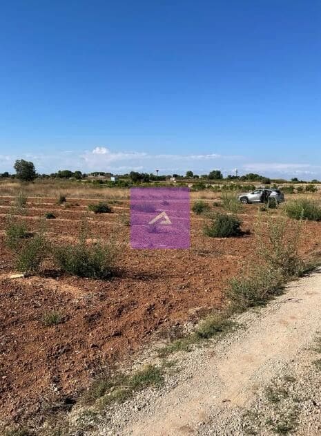 Mark till salu i Beniparrell - 18 500 € (Ref: 9473648)