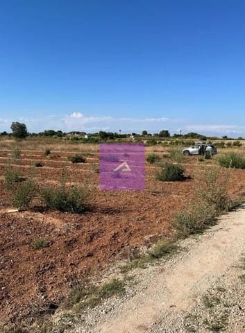 Mark till salu i Beniparrell - 18 500 € (Ref: 9473648)