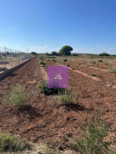 Mark till salu i Beniparrell - 18 500 € (Ref: 9473648)