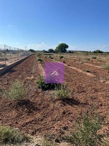 Mark till salu i Beniparrell - 18 500 € (Ref: 9473648)