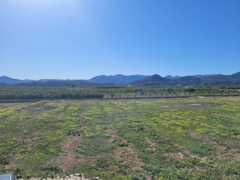 5 sypialnia Finka/Dom wiejski na sprzedaż w Oliva z basenem garażem - 549 000 € (Ref: 9491732)