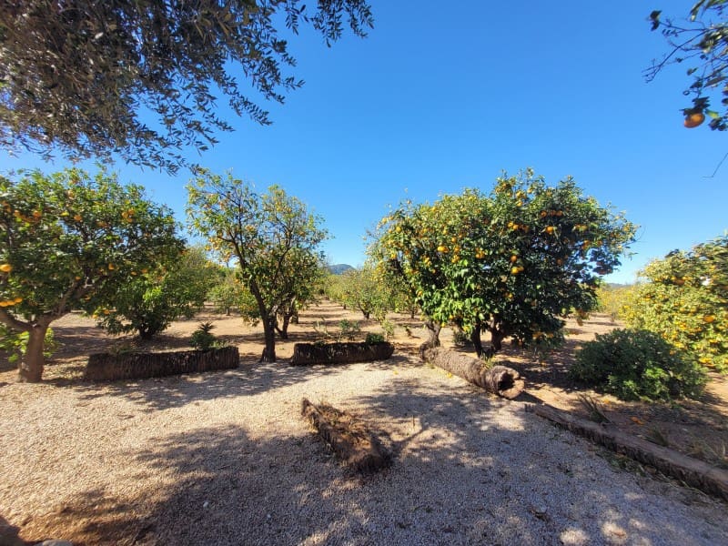 5 sypialnia Finka/Dom wiejski na sprzedaż w Oliva z basenem garażem - 549 000 € (Ref: 9491732)