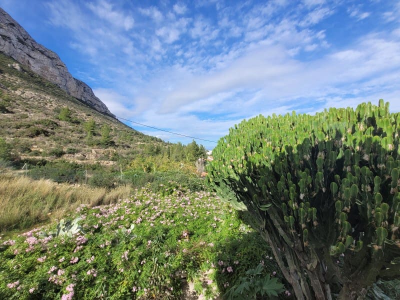 4 soveværelse Villa til salg i Denia - € 899.000 (Ref: 9516264)