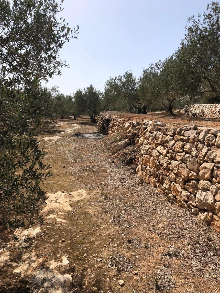 Finca/Landehus til salg i Enguera - € 11.377 (Ref: 8258777)