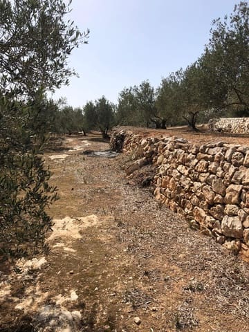 Finca/Landehus til salg i Enguera - € 11.377 (Ref: 8258777)