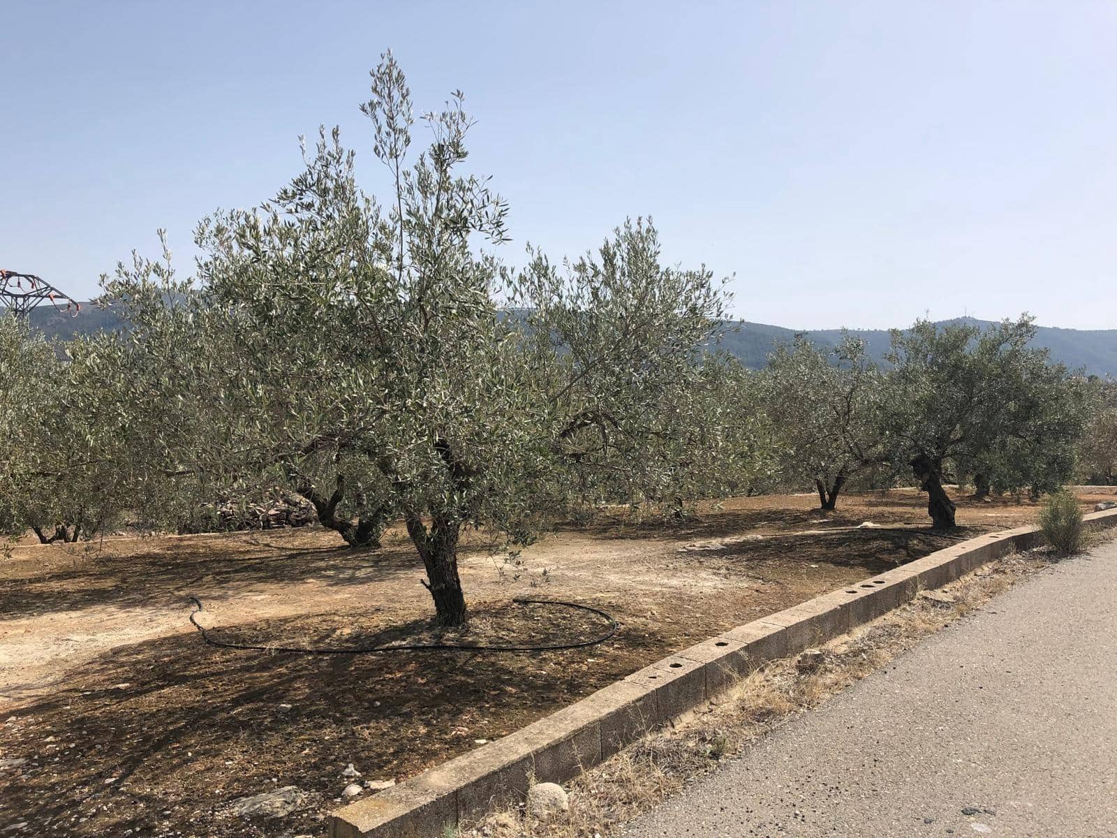 Finca/Landehus til salg i Enguera - € 11.377 (Ref: 8258777)