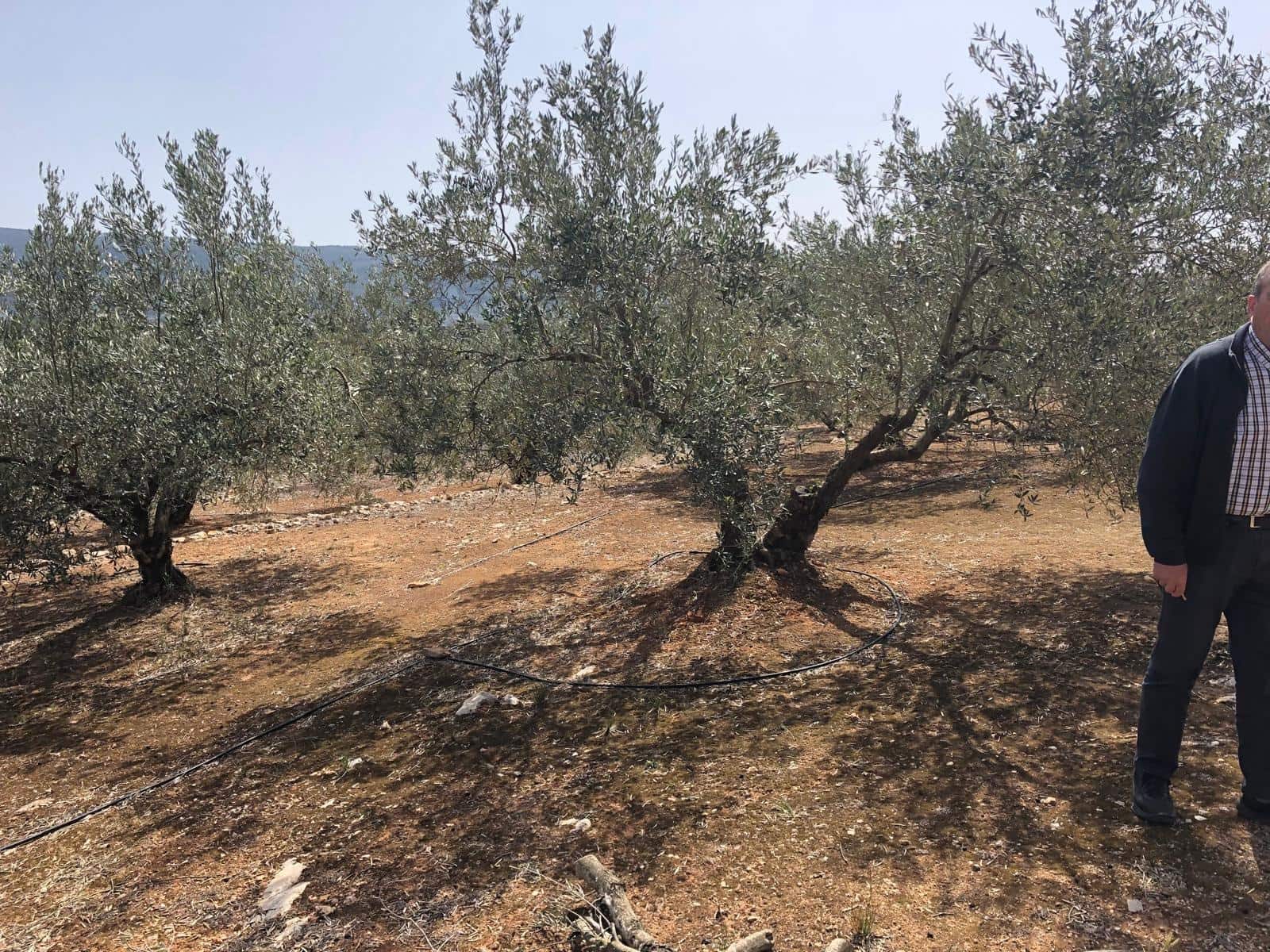 Finca/Landehus til salg i Enguera - € 11.377 (Ref: 8258777)