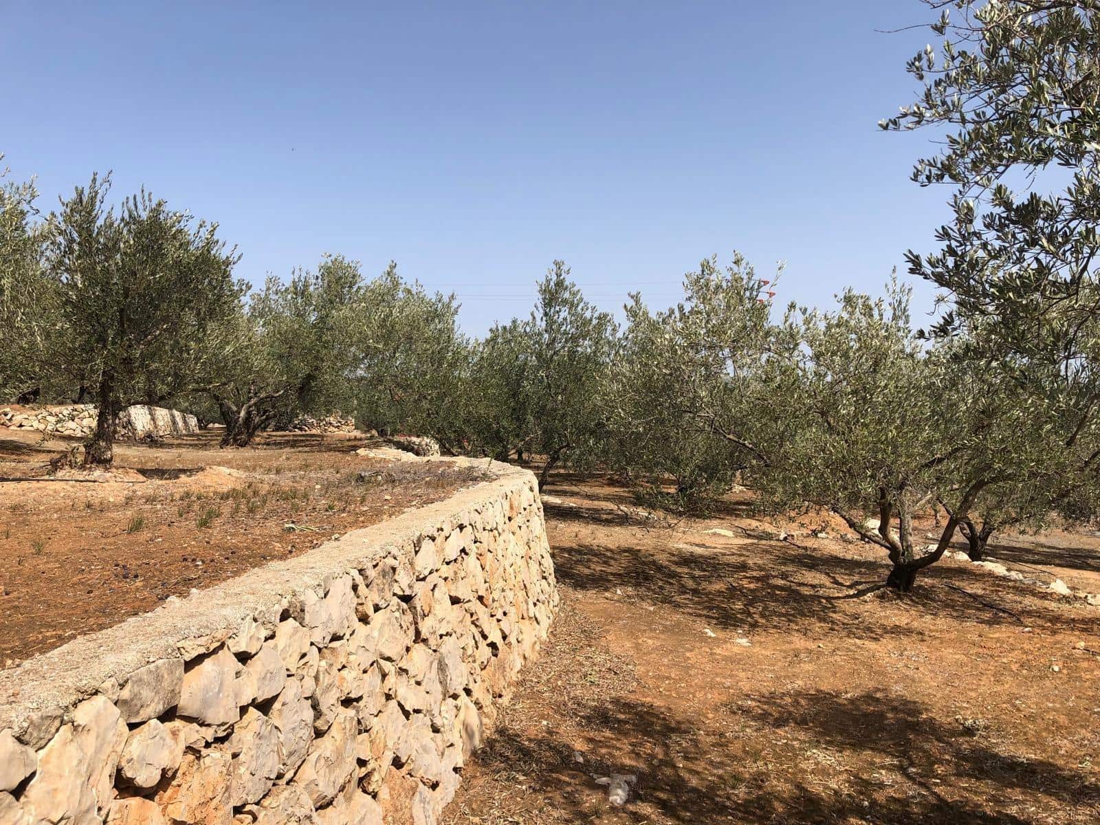 Finca/Landehus til salg i Enguera - € 11.377 (Ref: 8258777)