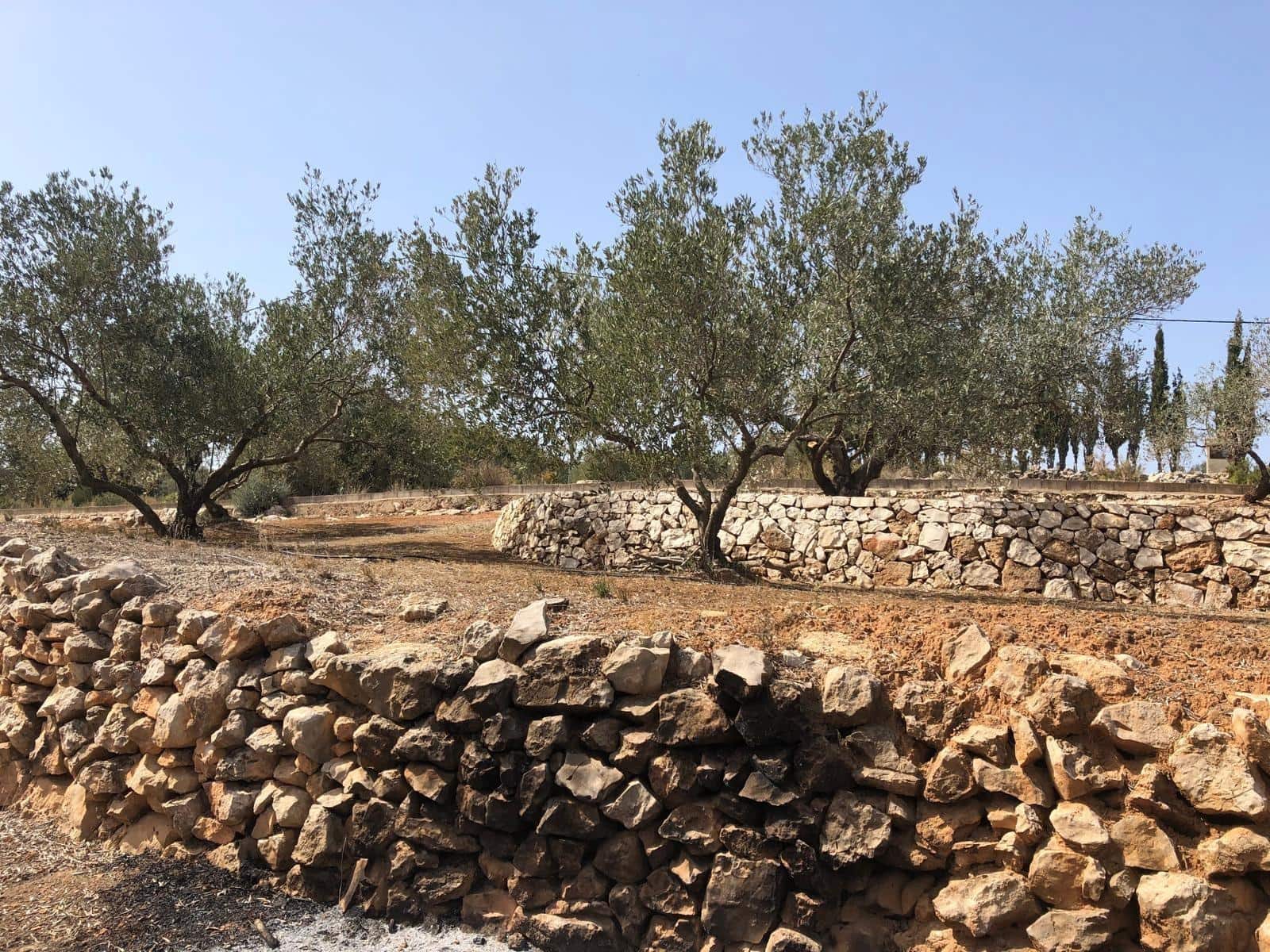 Finca/Landehus til salg i Enguera - € 11.377 (Ref: 8258777)