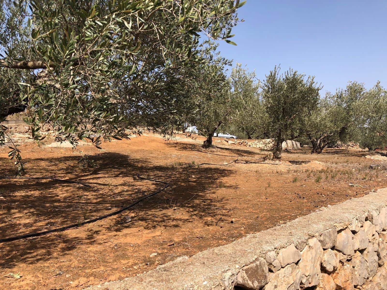 Finca/Landehus til salg i Enguera - € 11.377 (Ref: 8258777)