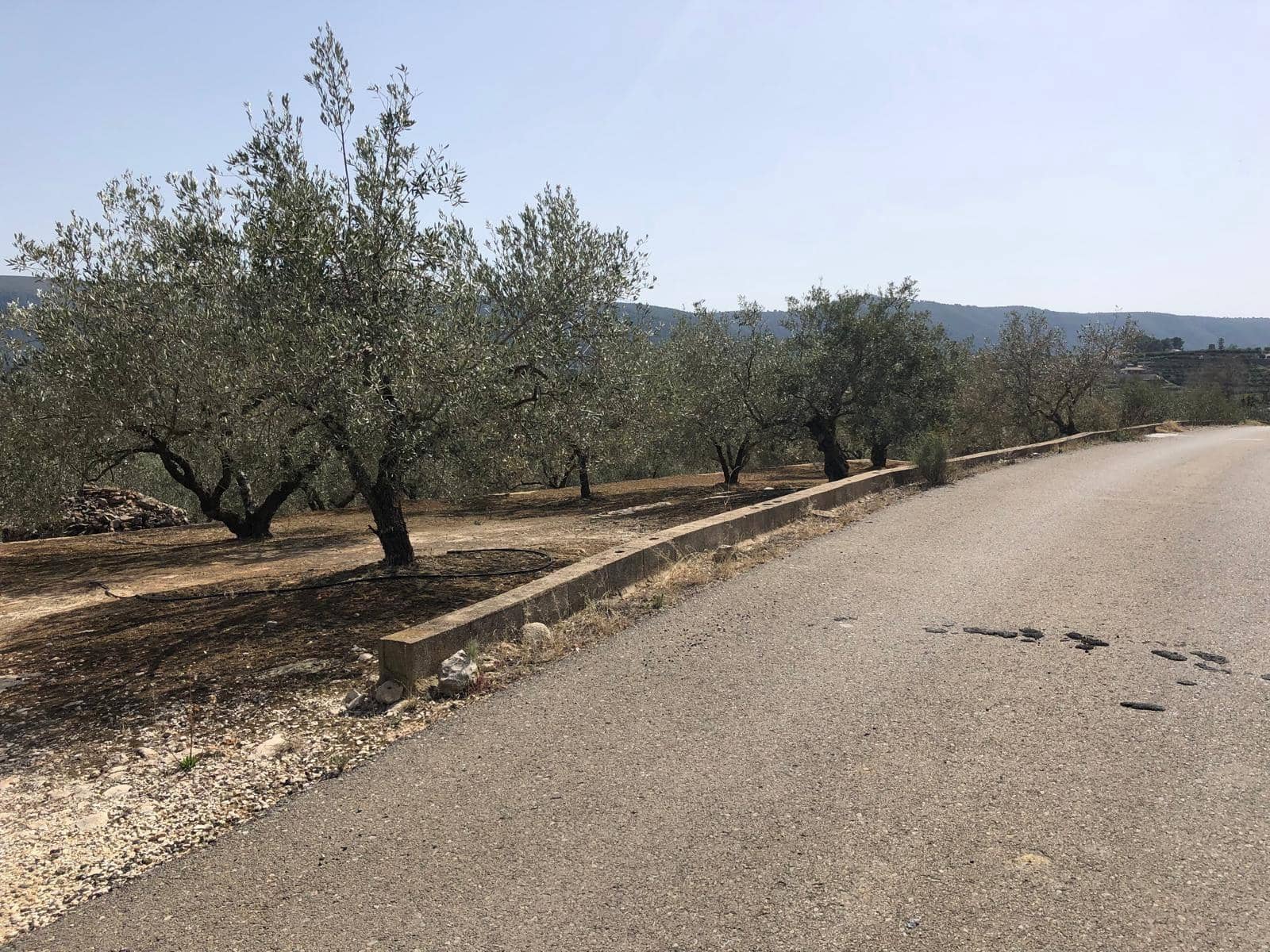 Finca/Landehus til salg i Enguera - € 11.377 (Ref: 8258777)