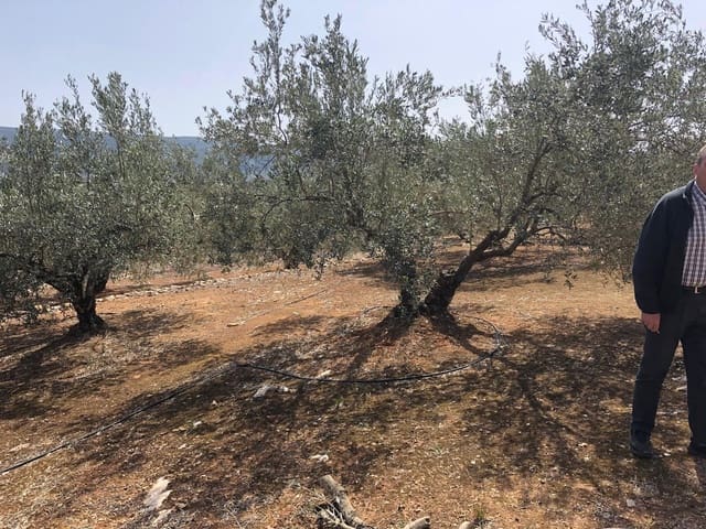 Finca/Landehus til salg i Enguera - € 11.377 (Ref: 8258777)