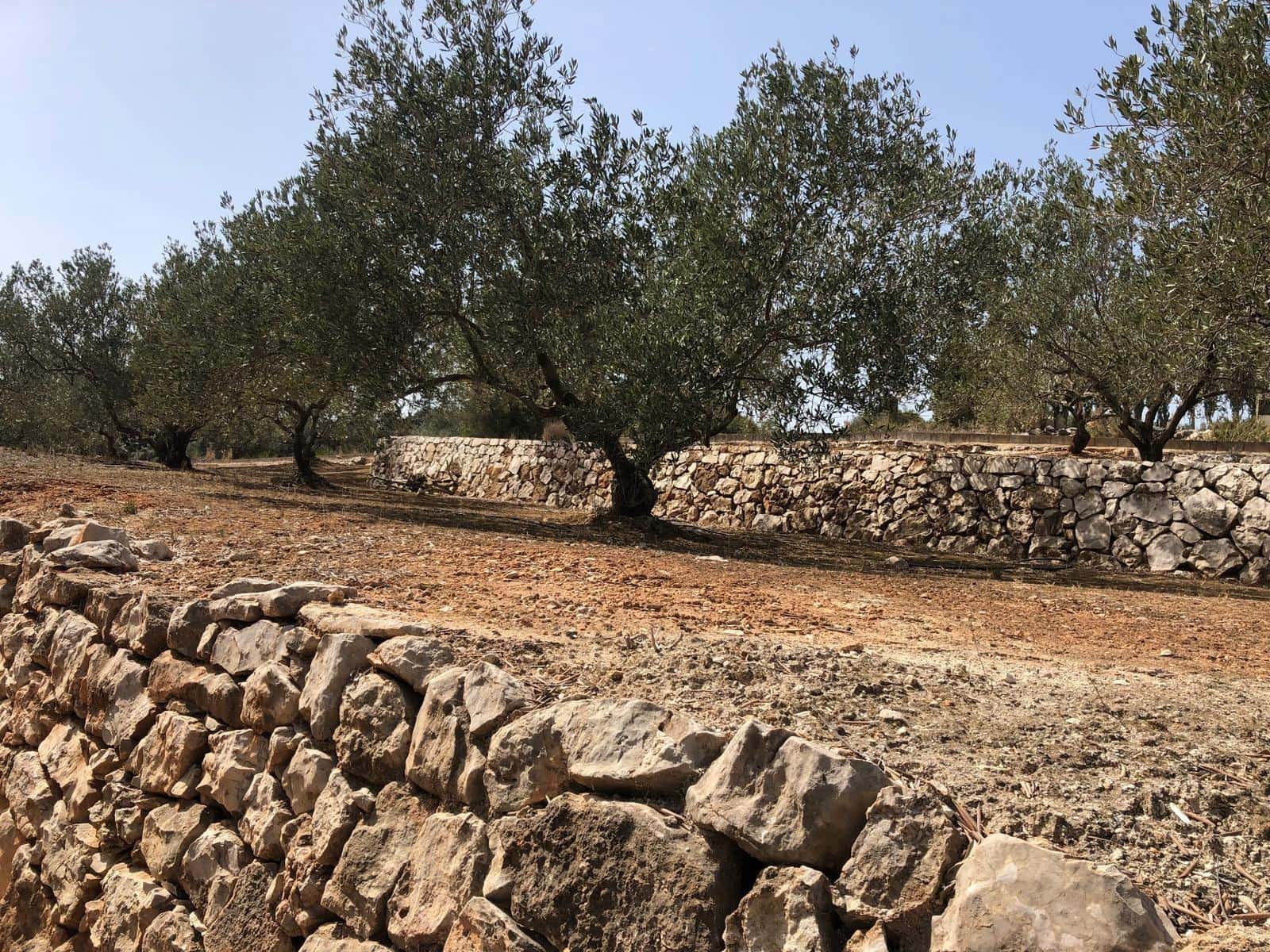 Finca/Landehus til salg i Enguera - € 11.377 (Ref: 8258777)