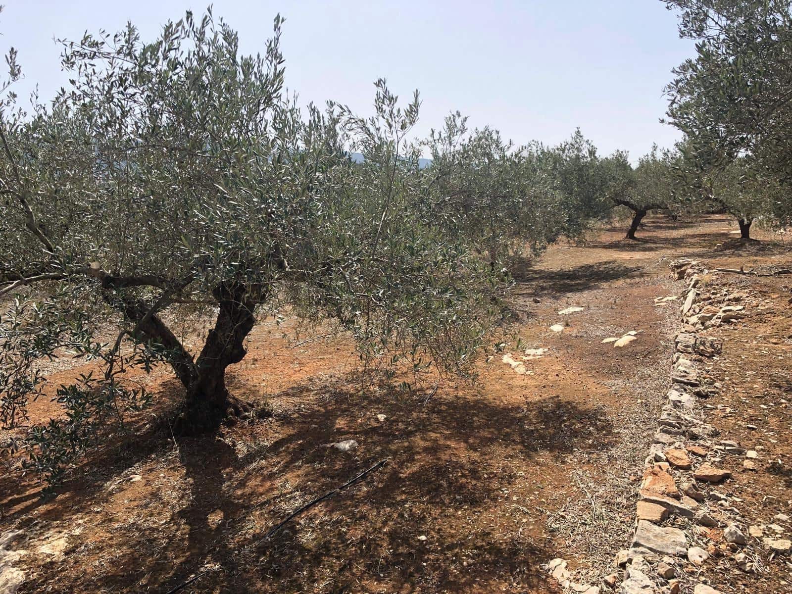 Finca/Landehus til salg i Enguera - € 11.377 (Ref: 8258777)