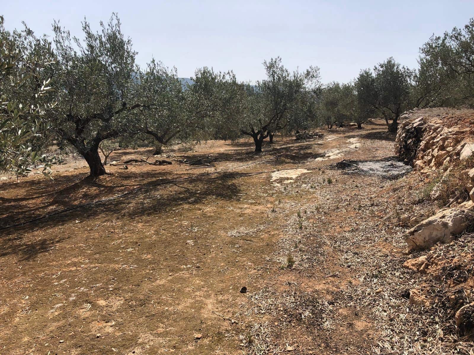 Finca/Landehus til salg i Enguera - € 11.377 (Ref: 8258777)