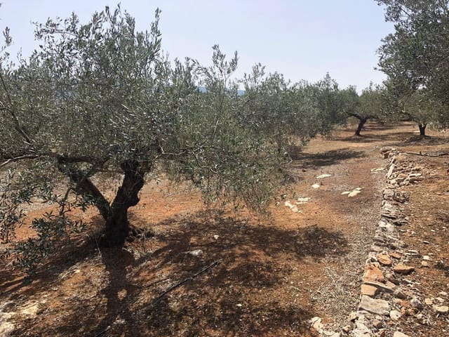 Finca/Landehus til salg i Enguera - € 11.377 (Ref: 8258777)