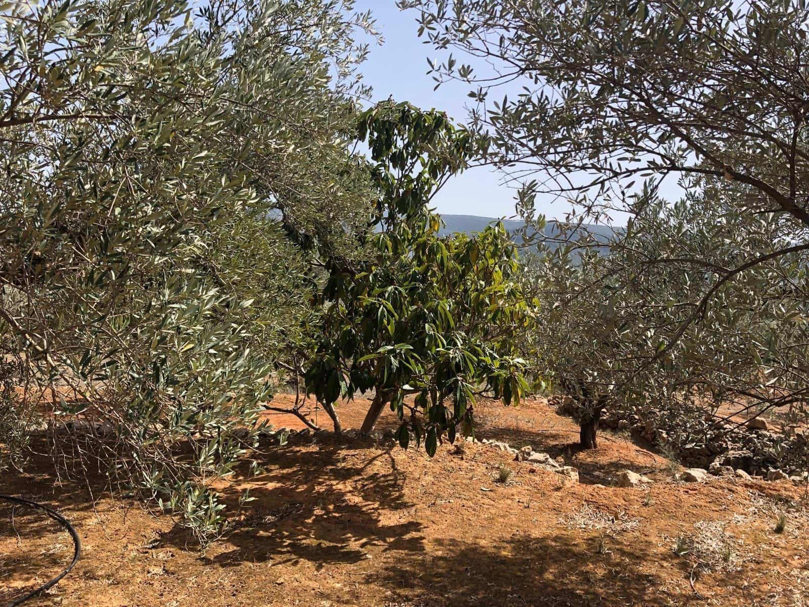 Finca/Landehus til salg i Enguera - € 11.377 (Ref: 8258777)